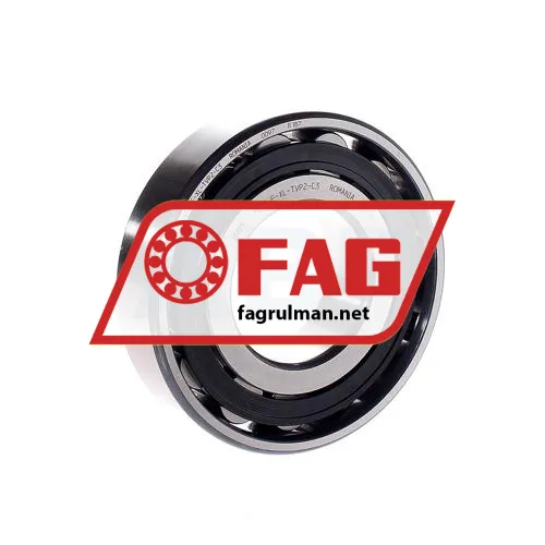 FAG N311-E-XL-TVP2-C3