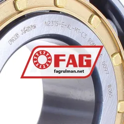 FAG N2315-E-XL-M1-C3 rulman resim 2