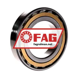 FAG N215-E-XL-M1 rulman resim 2