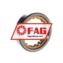 FAG RNU1007-XL-M1 rulman resim 2