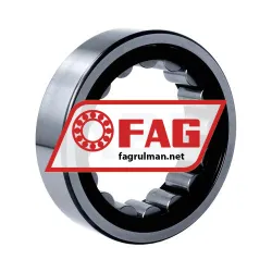 FAG RNU2213-E-XL-TVP2 rulman resim 2