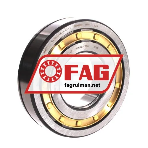 FAG NUP314-E-XL-N-M1-C3