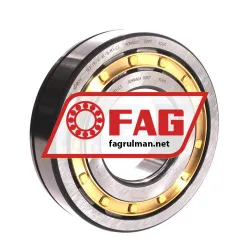FAG NUP314-E-XL-N-M1-C3