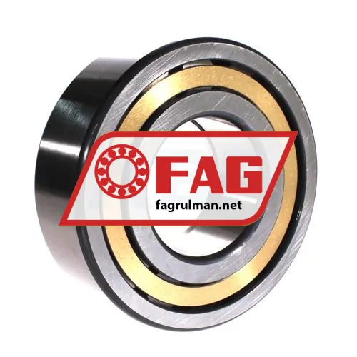 FAG NUP2317-E-XL-M1-C3 ürün fotoğrafı 2