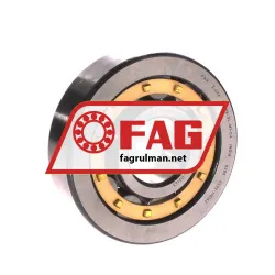 FAG NU406-XL-M1-C4
