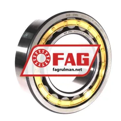 FAG NJ2220-E-XL-M1