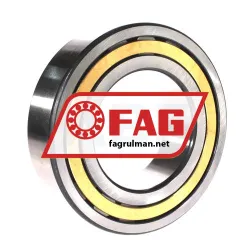 FAG NJ2220-E-XL-M1 rulman resim 2