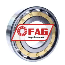 FAG N316-E-M1-C3