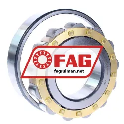 FAG N316-E-M1-C3 rulman resim 2