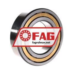 FAG NUP2219-E-XL-M1-C3 rulman resim 2