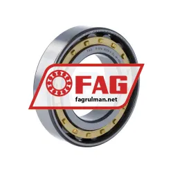 FAG N210-E-XL-M1