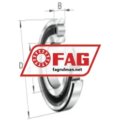 FAG N210-E-XL-M1 rulman resim 6