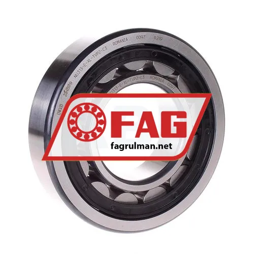 FAG NU313-E-XL-TVP2-C3
