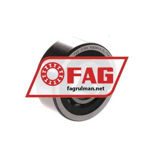 FAG NJ2203-E-XL-TVP2
