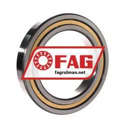 FAG NJ1024-XL-M1-C3 rulman resim 2