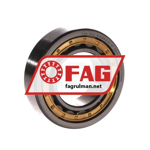 FAG NJ2209-E-XL-M1