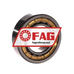 FAG NJ2209-E-XL-M1