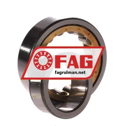 FAG NJ2209-E-XL-M1 rulman resim 3