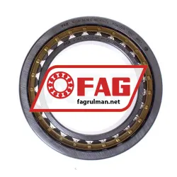 FAG NU1018-M1-F1-C4