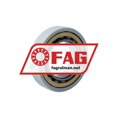 FAG NU210-E-XL-M1-F1-J20AA-R65-80NA