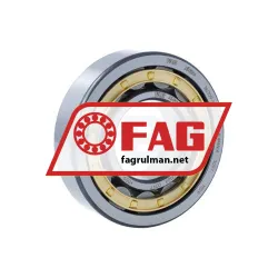 FAG NU309-E-XL-M1-C4