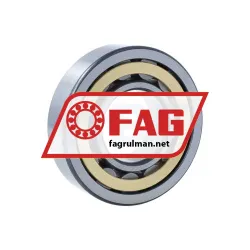 FAG NU309-E-XL-M1-C4 rulman resim 2