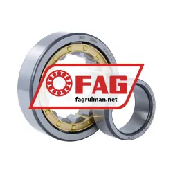 FAG NU309-E-XL-M1-C4 rulman resim 3