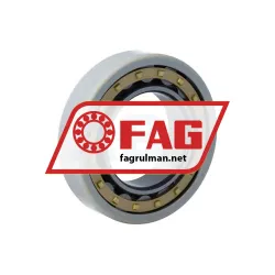 FAG NU210-E-XL-M1-F1-J20AA-C4 rulman resim 2