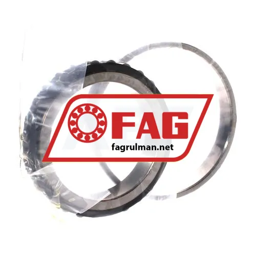 FAG N1019-D-K-TVP-SP-XL