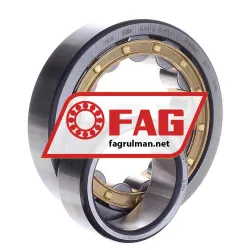 FAG NU311-E-XL-M1-C4 rulman resim 2
