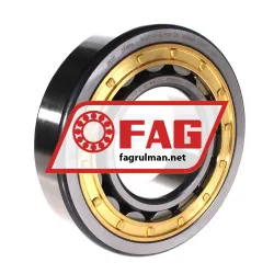 FAG NJ317-E-XL-M1A-C3