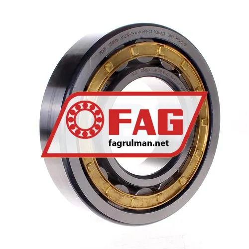FAG NU319-E-XL-M1-F1-C3