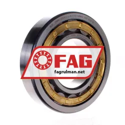 FAG NU319-E-XL-M1-F1-C3