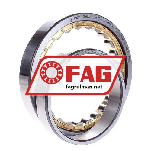 FAG NU1017-XL-M1-F1-C3 ürün fotoğrafı 2