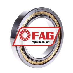 FAG NU1017-XL-M1-F1-C3