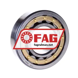 FAG NJ310-E-XL-M1-C4