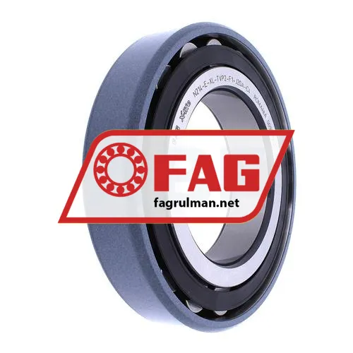 FAG N214-E-XL-TVP2-F1-J20A-C4