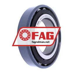 FAG N214-E-XL-TVP2-F1-J20A-C4