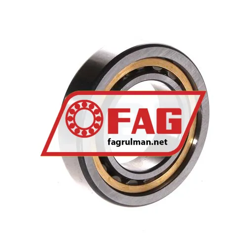 FAG NU1006-XL-M1 ürün fotoğrafı 2