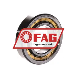 FAG NU1006-XL-M1