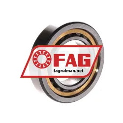 FAG NU1006-XL-M1 rulman resim 2