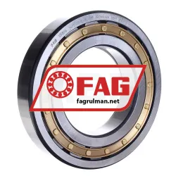 FAG NUP220-E-XL-M1