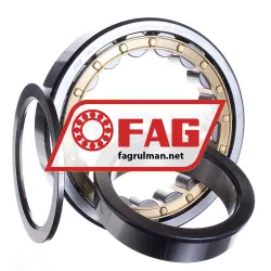 FAG NUP220-E-XL-M1 rulman resim 2