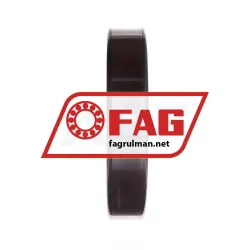 FAG NUP220-E-XL-M1 rulman resim 4