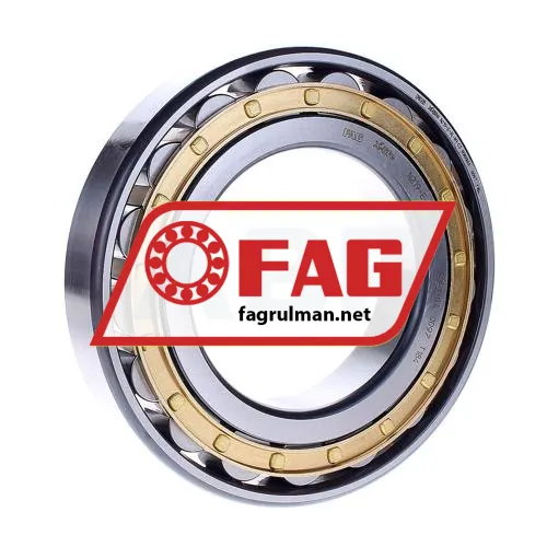 FAG N219-E-XL-M1-C3