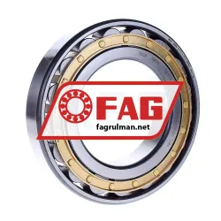 FAG N219-E-XL-M1-C3