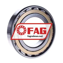 FAG N219-E-XL-M1-C3 rulman resim 2