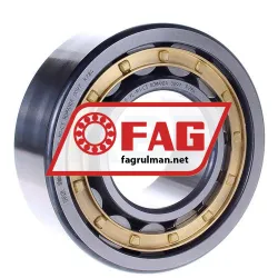 FAG NJ2313-E-XL-M1-C3