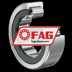 FAG RNU305-E-XL-TVP2 rulman resim 3