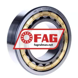 FAG NJ2220-E-M1